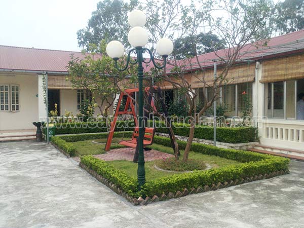 Khu an Khu chăm sóc hỗ trợ, chăm sóc đặc biệt được thiết kế trồng cây ăn quả
