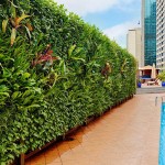 Vườn tường thẳng đứng được thiết kế trồng tại bể bơi