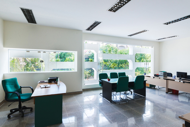 phòng làm việc có trồng cây xanh