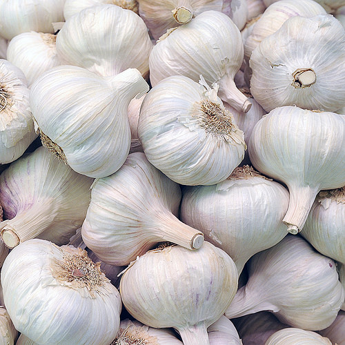 Bước 1: Chọn tỏi tươi.