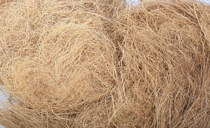 Chỉ xơ dừa