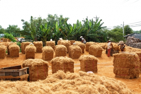 Xơ Dừa