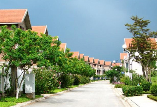 Những hàng cây xanh được trồng tại khu dự án, không đủ tiêu chuẩn