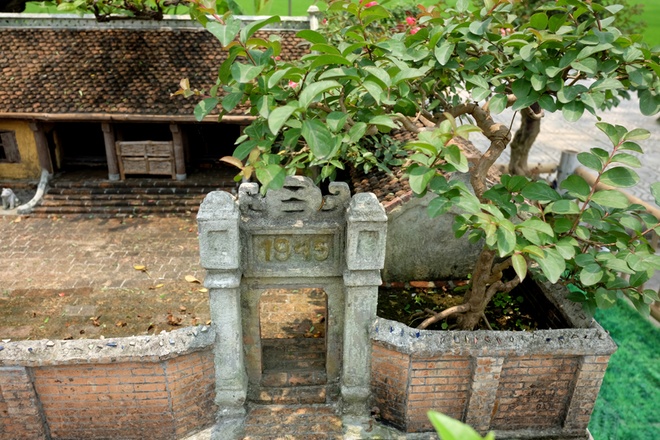 Phần cổng nhà xanh mát và cổ kính hơn với bóng mát của cây sanh.