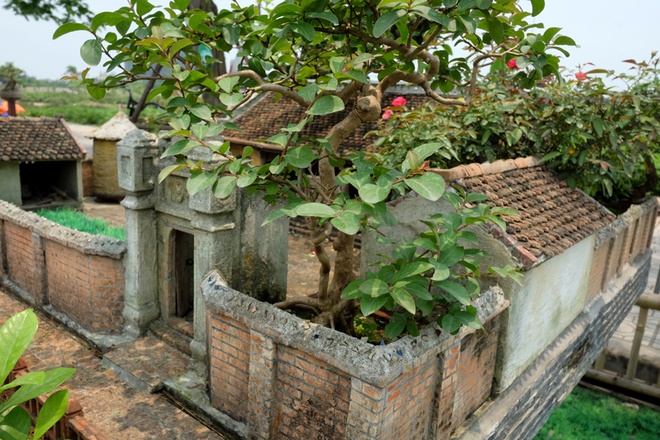 Cây Tường Vi -  Ngôi nhà thuần việt Bắc Bộ mini được dựng trên không gian 2 mét vuông mô phỏng hình ảnh ngôi nhà cấp 4 ở Bắc Bộ 